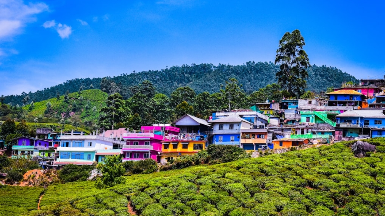 photo-1592726129893-0b0ff79c8a2b