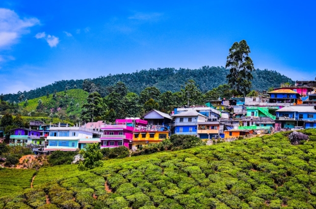 photo-1592726129893-0b0ff79c8a2b