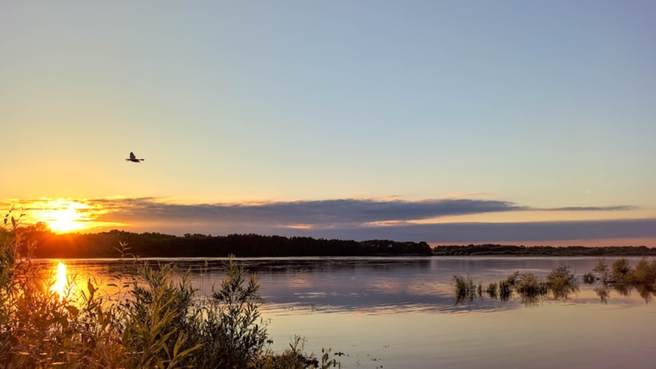 photo-1592811864976-cf898030c3bb