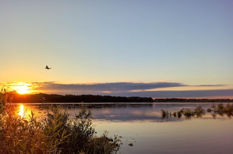 photo-1592811864976-cf898030c3bb