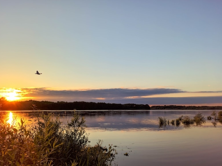 photo-1592811864976-cf898030c3bb