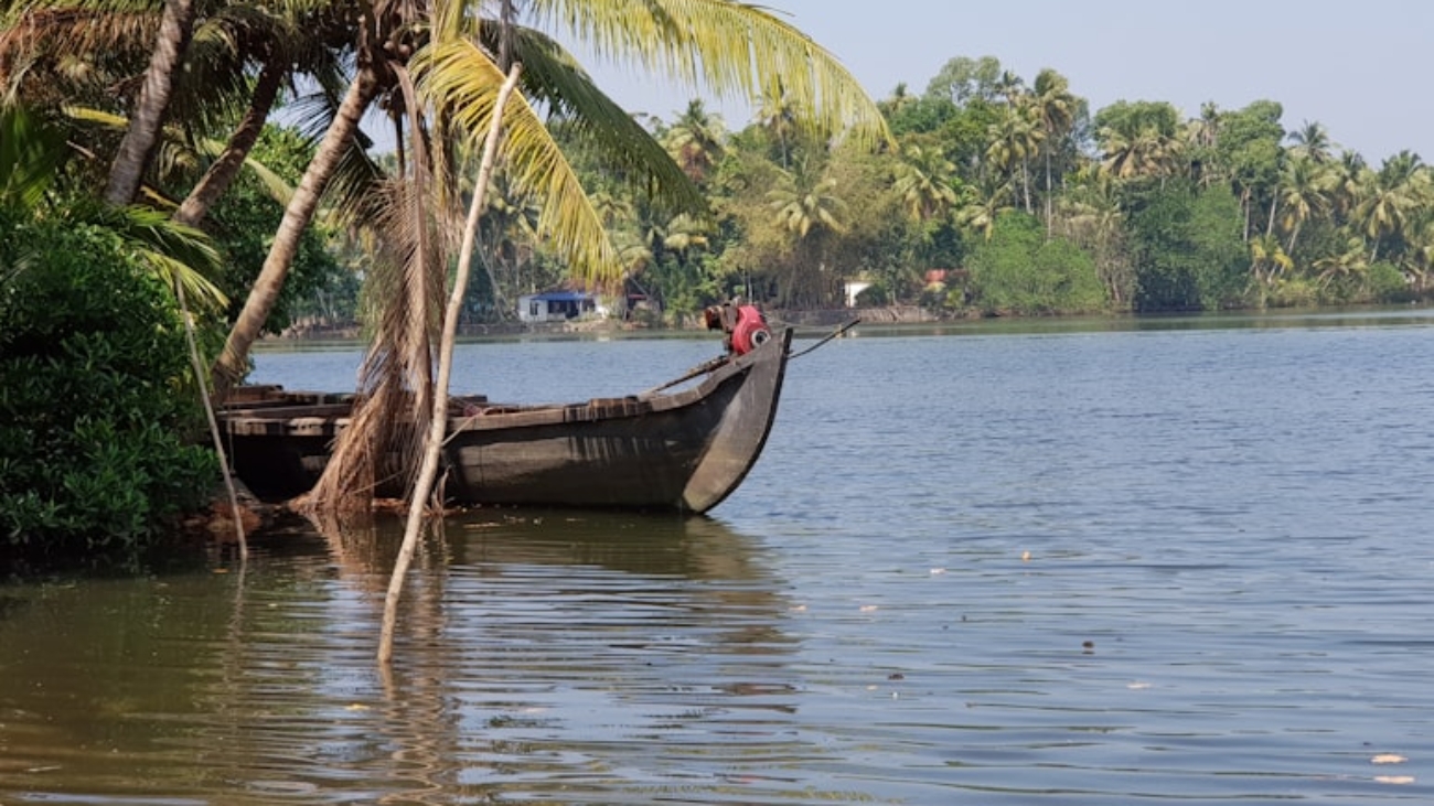 photo-1593692553080-206570832bb6