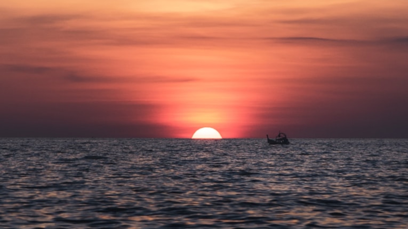 photo-1594102760818-ed9f4b5ae0d9