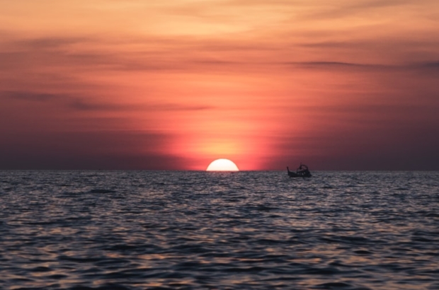 photo-1594102760818-ed9f4b5ae0d9