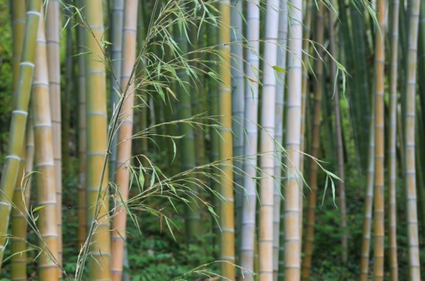 photo-1594843177984-95367ac98040