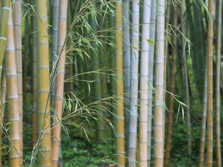 photo-1594843177984-95367ac98040