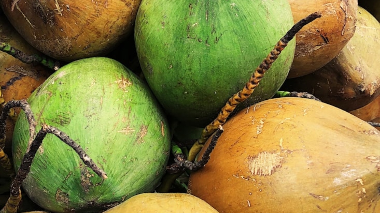 photo-1603779046675-2eccbab9b982