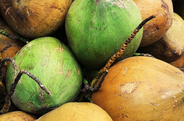 photo-1603779046675-2eccbab9b982