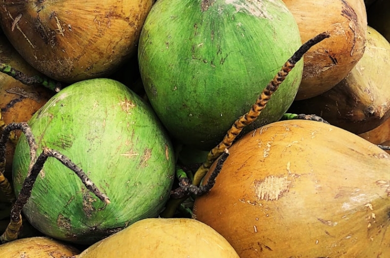 photo-1603779046675-2eccbab9b982