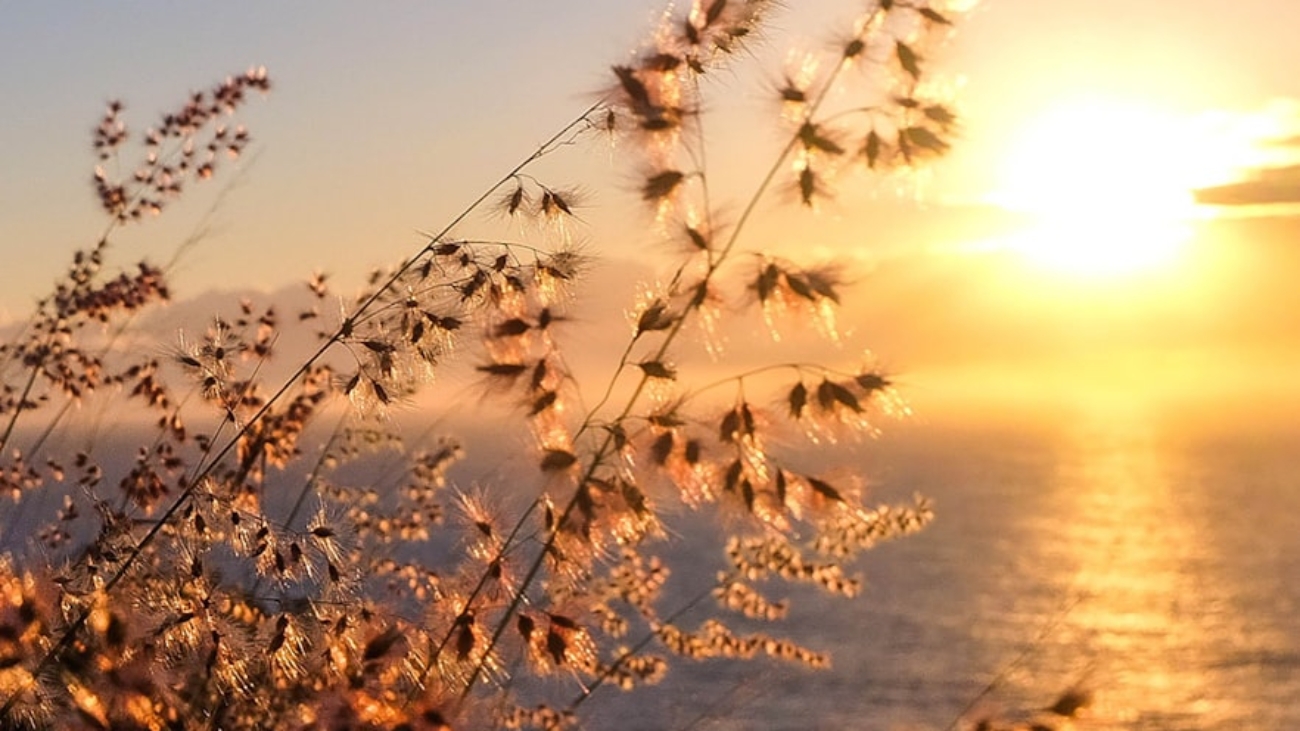 photo-1604228741406-3faa38f4907a