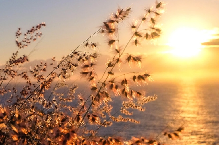 photo-1604228741406-3faa38f4907a