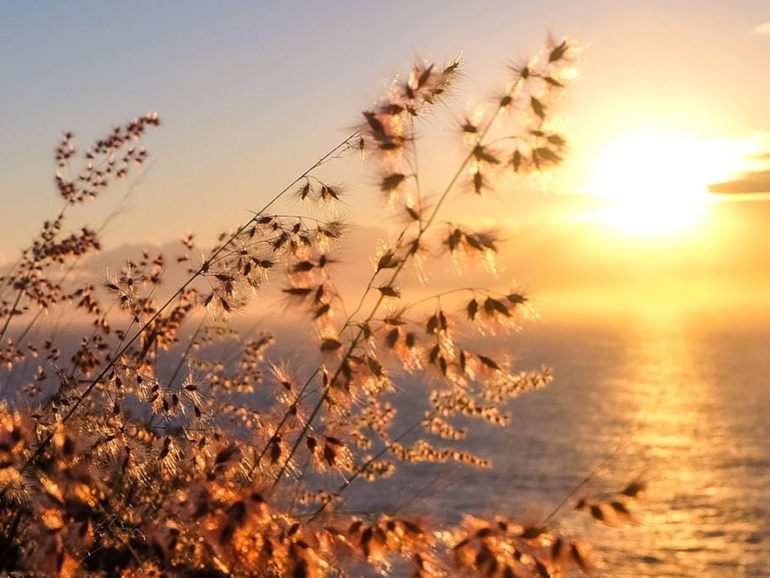 photo-1604228741406-3faa38f4907a