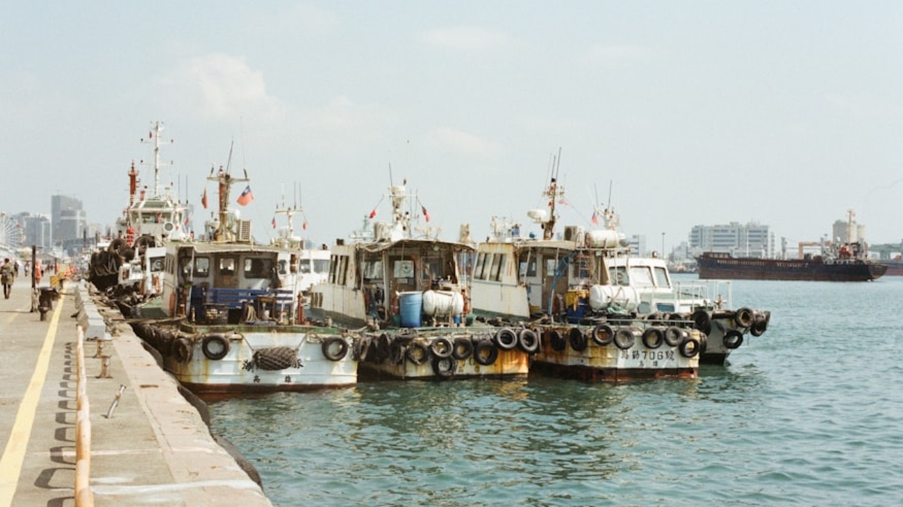 photo-1613743772244-43705c96dd3a