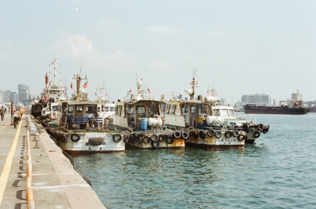 photo-1613743772244-43705c96dd3a