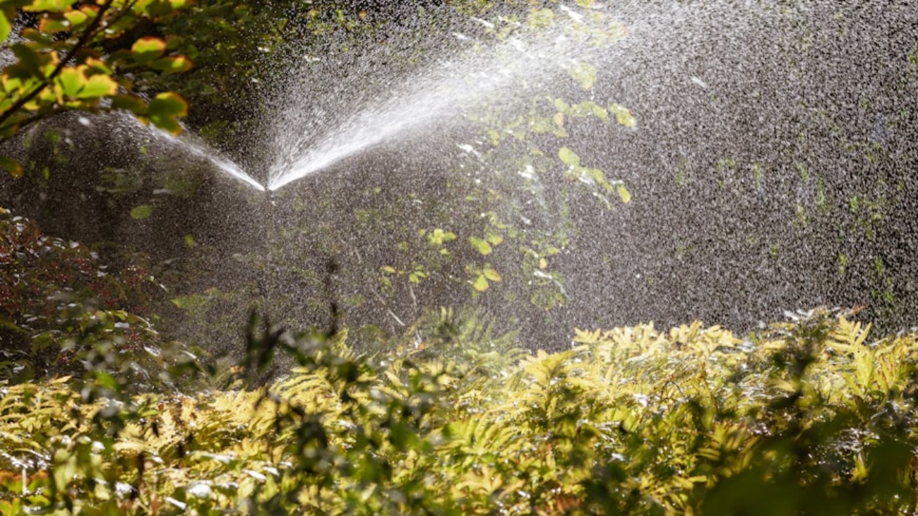 photo-1614464287914-e226a04d9efe