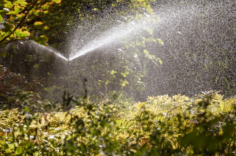 photo-1614464287914-e226a04d9efe