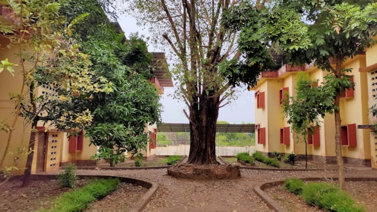 photo-1616936827466-eaf26895a83d