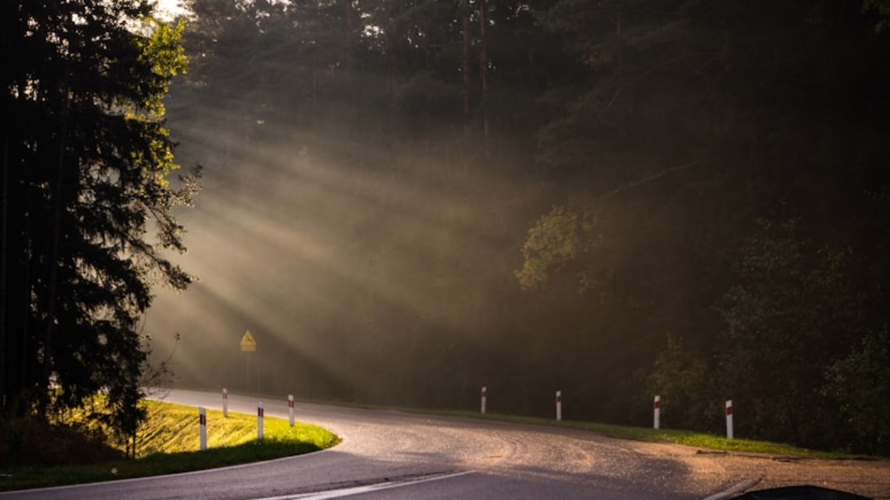 photo-1616998498679-1eb0aeffd9fc