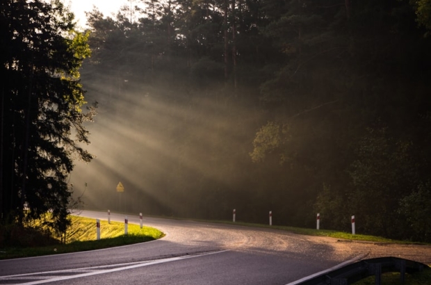 photo-1616998498679-1eb0aeffd9fc