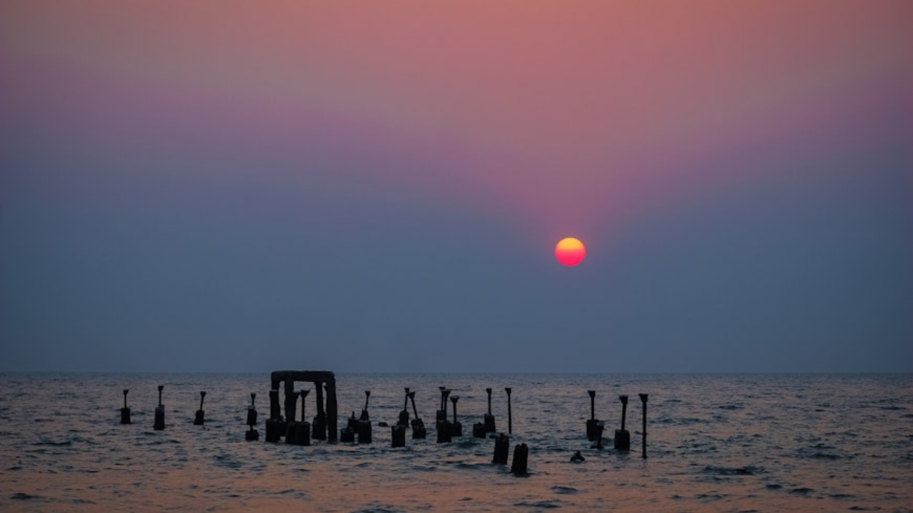 photo-1618754735931-be347c966ea6