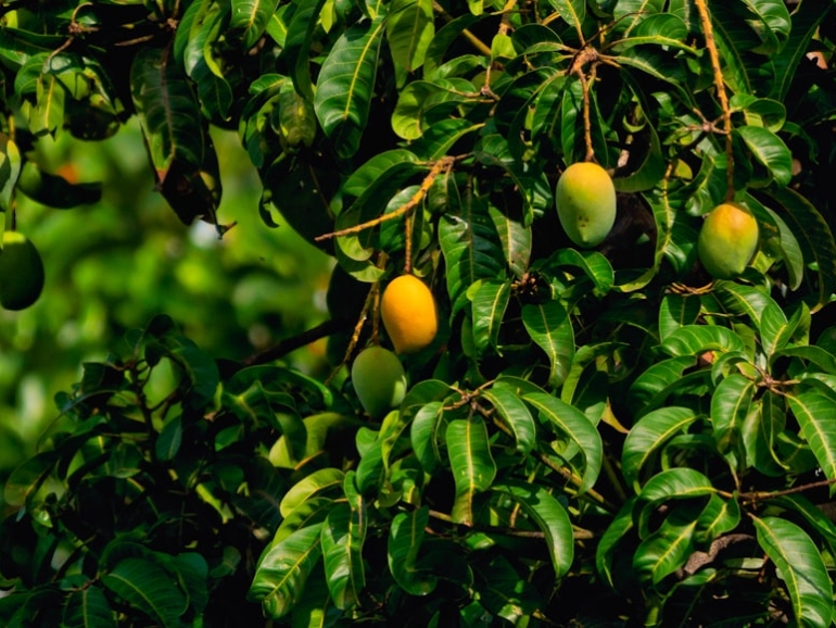 photo-1622955658214-d05c1c6fcf84