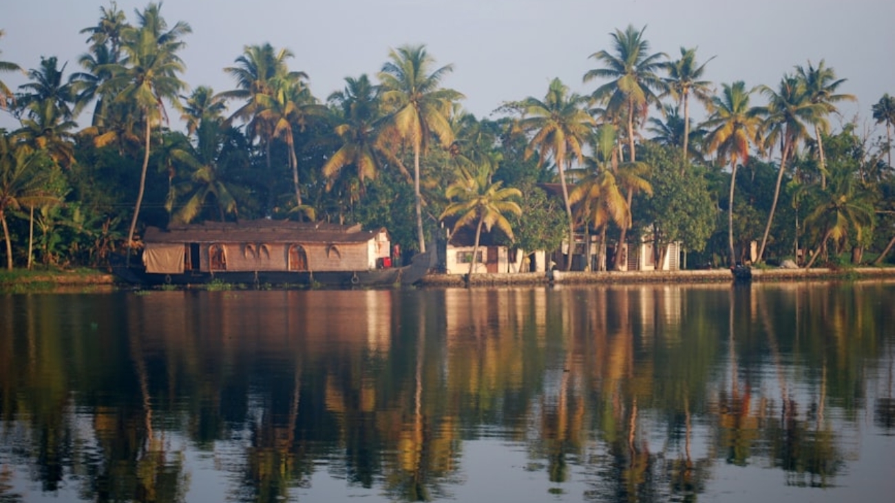 photo-1626358330328-269cdf521a05