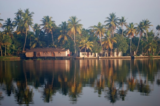 photo-1626358330328-269cdf521a05