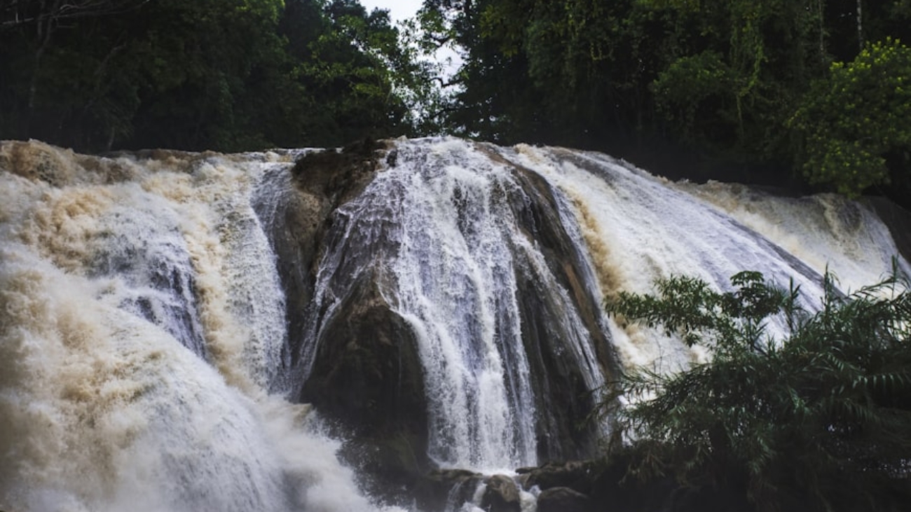 photo-1626822583136-fd6b6f02ddad