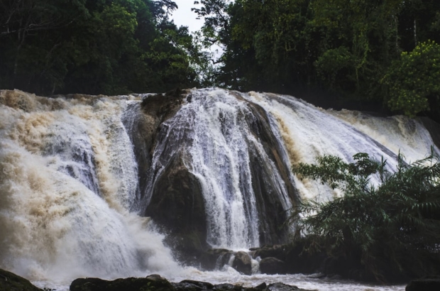 photo-1626822583136-fd6b6f02ddad