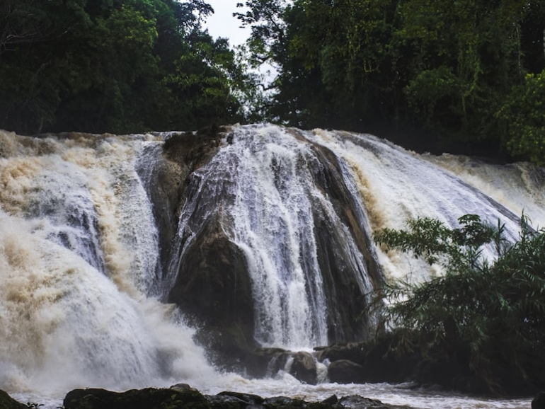 photo-1626822583136-fd6b6f02ddad