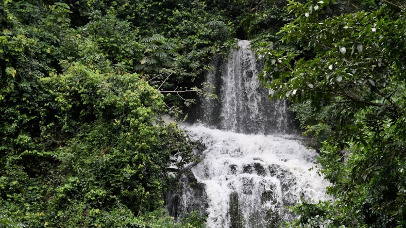 photo-1636739969909-7ad906d3d18e