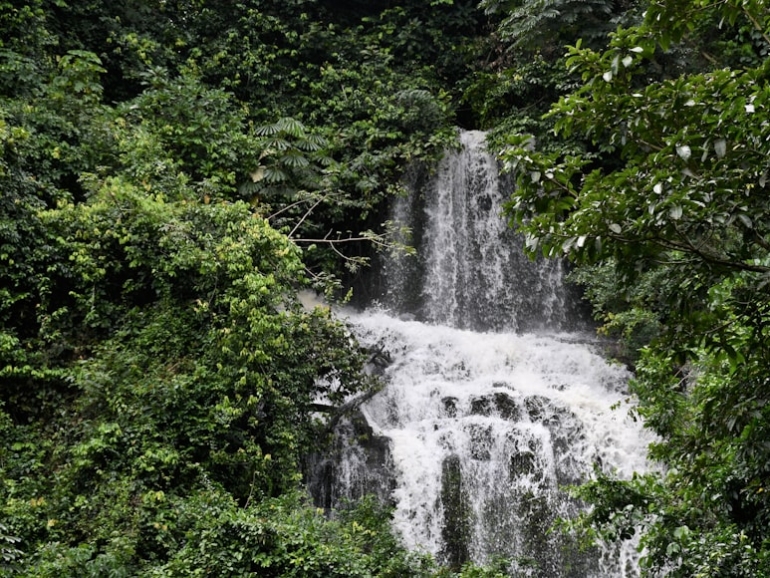 photo-1636739969909-7ad906d3d18e