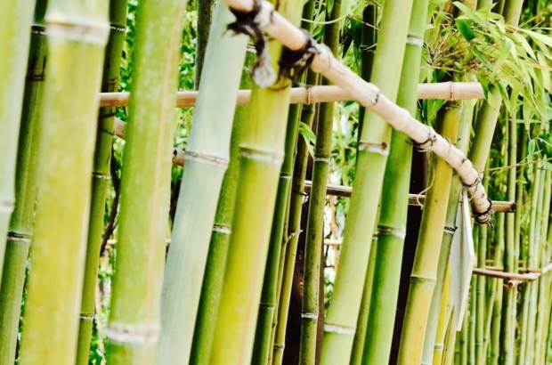 photo-1637591929811-a60d33298280