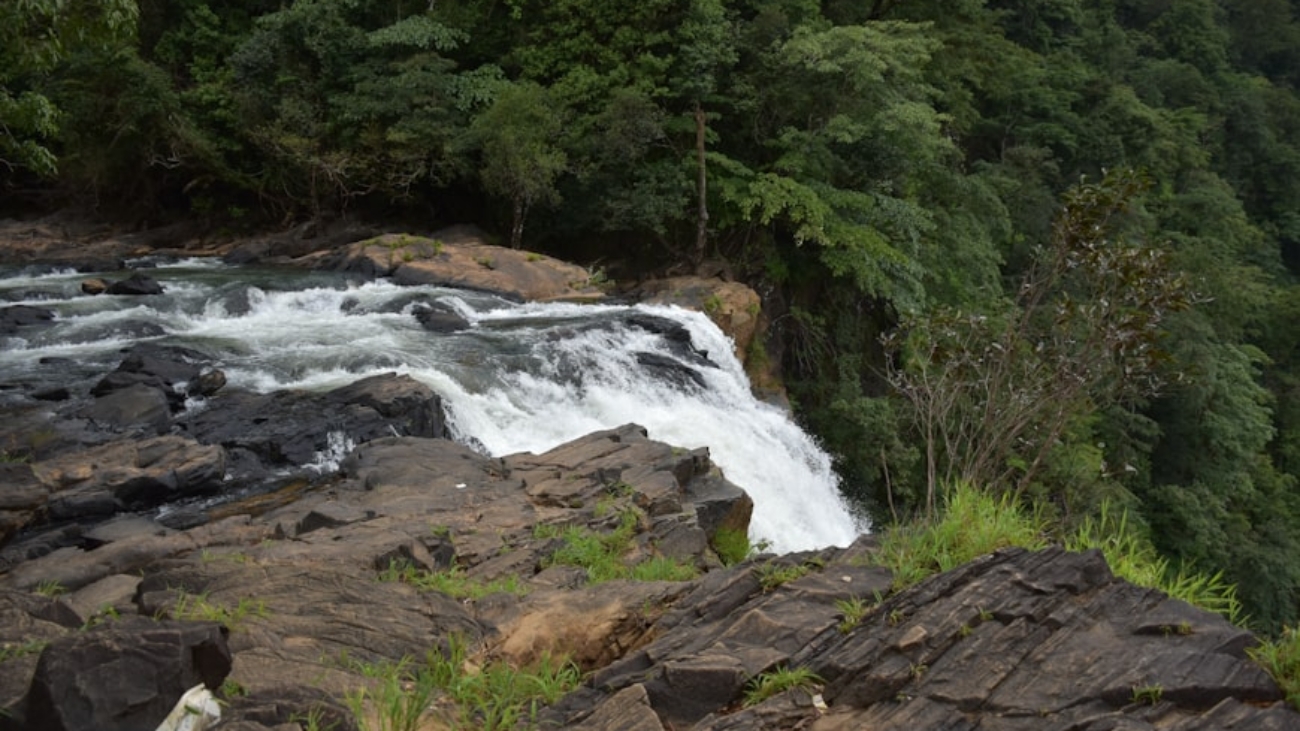 photo-1640253252475-1b82fe83e580