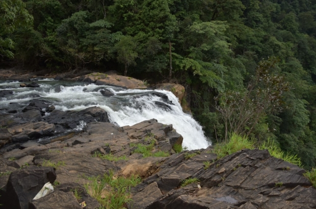 photo-1640253252475-1b82fe83e580