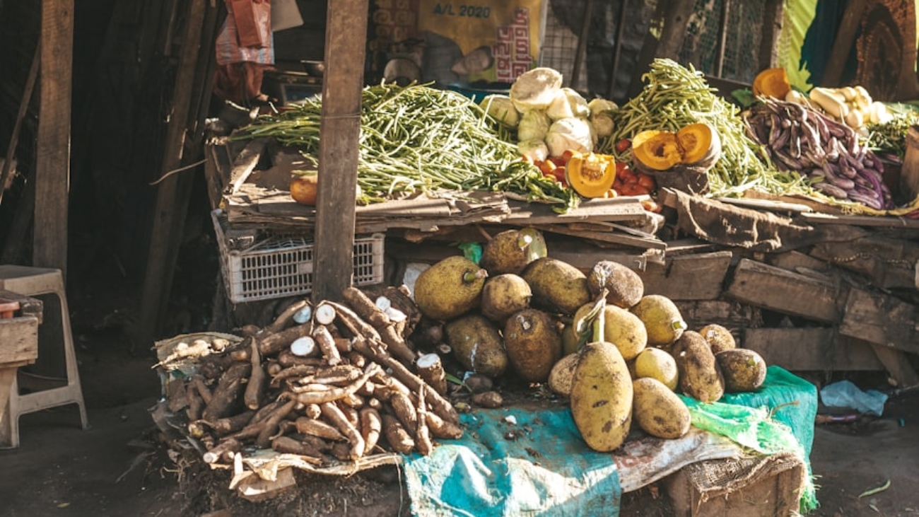 photo-1643793425820-bc9039f1e467