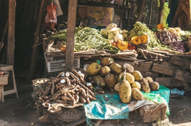 photo-1643793425820-bc9039f1e467