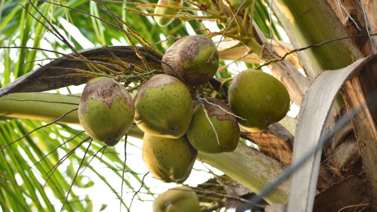 photo-1644061922452-64d0f8673fc5