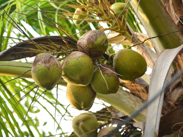 photo-1644061922452-64d0f8673fc5