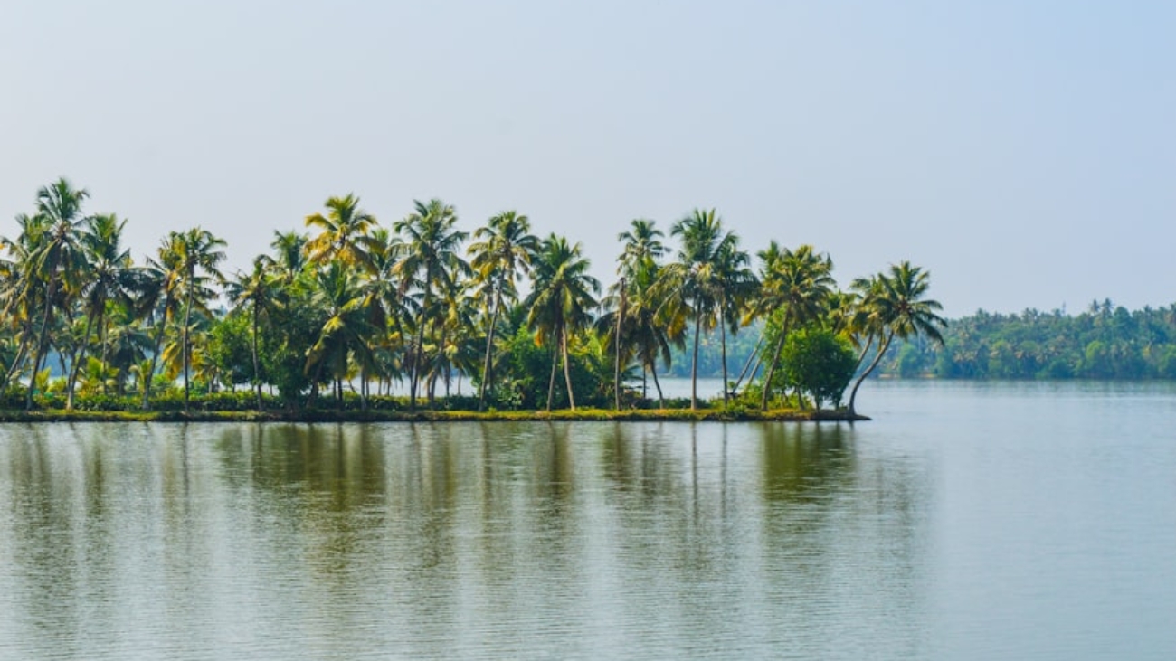 photo-1654749237114-43e15abb7772