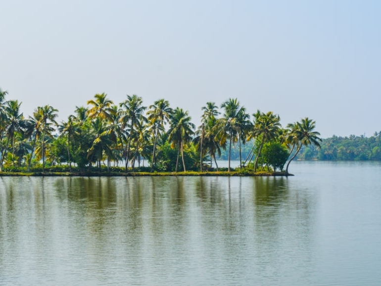 photo-1654749237114-43e15abb7772