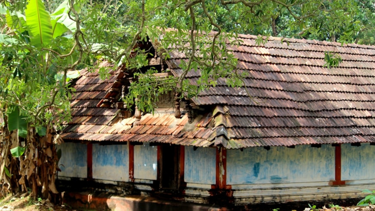 photo-1655705683880-08766b6b0864