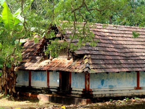 photo-1655705683880-08766b6b0864