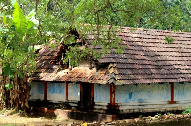 photo-1655705683880-08766b6b0864