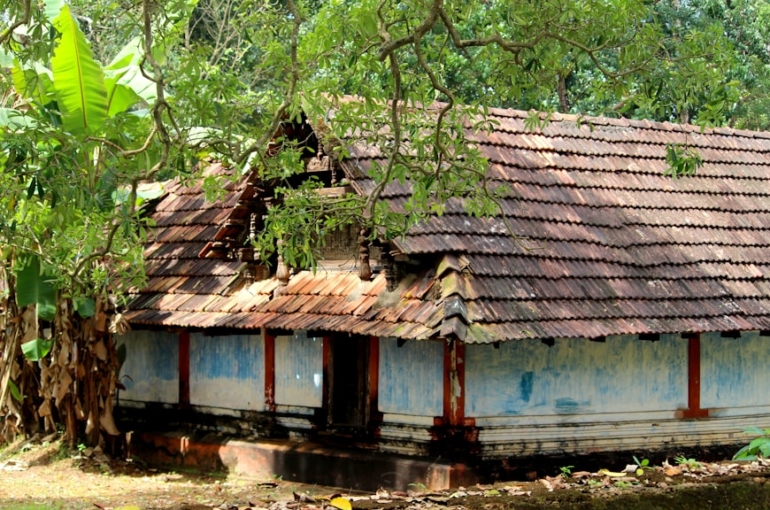 photo-1655705683880-08766b6b0864