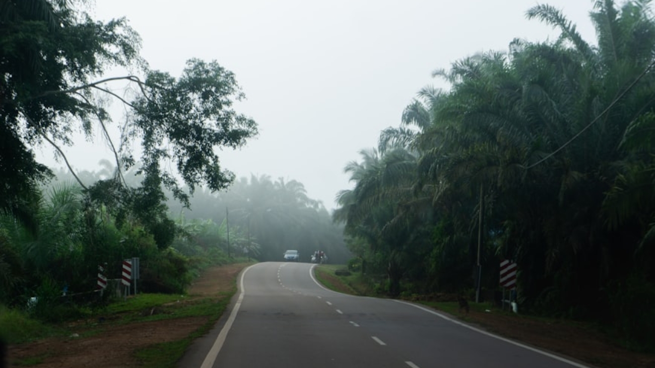 photo-1658140795197-674ab1d19fd5