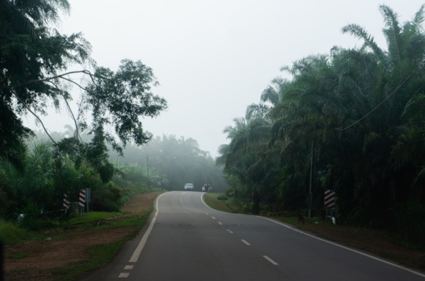 photo-1658140795197-674ab1d19fd5