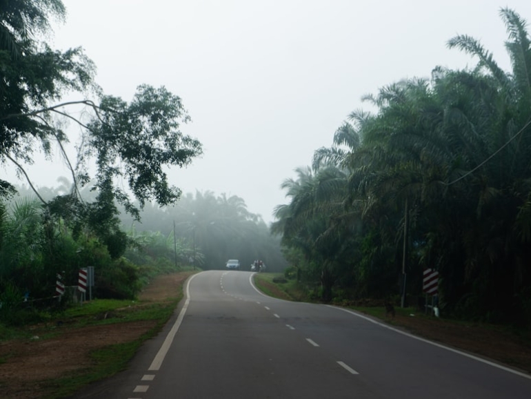 photo-1658140795197-674ab1d19fd5