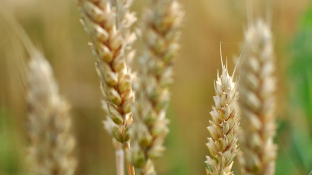 photo-1658996685170-2d5ce9181f14