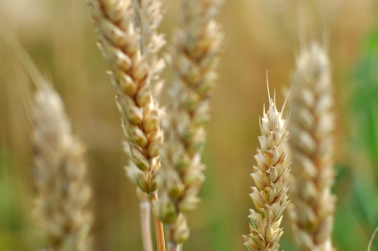 photo-1658996685170-2d5ce9181f14